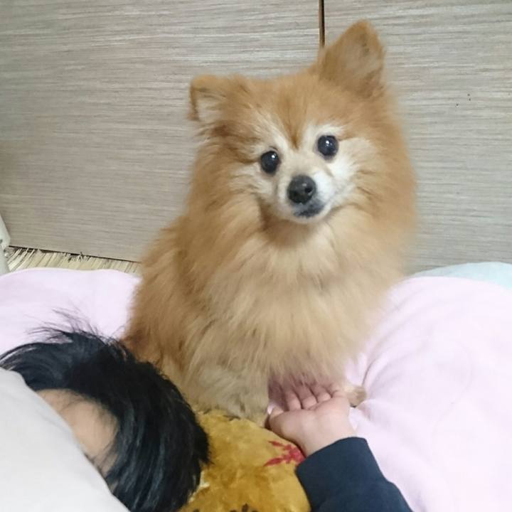 B2513d95 286b 4ee2 a53a 879ab3ebef93