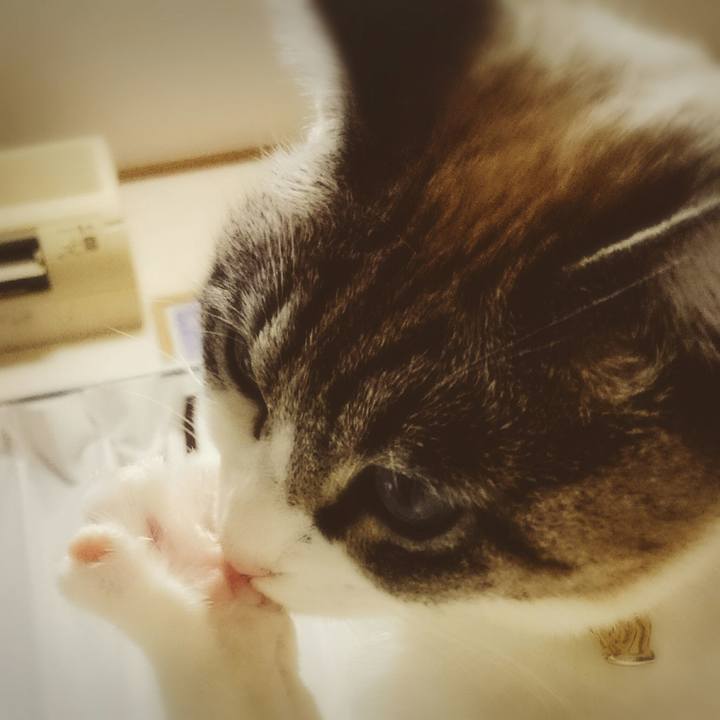 B25180e9 c4c9 4fbe a846 84d19845cd9a