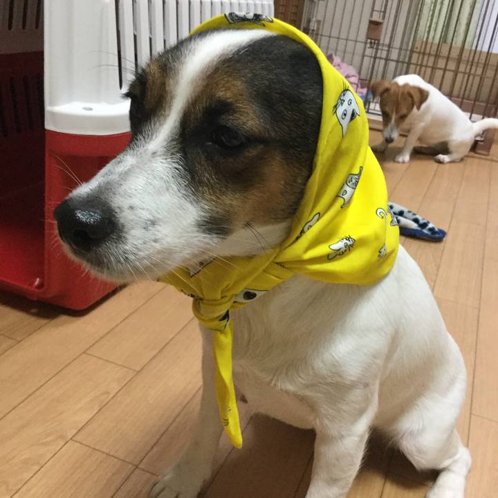 B251c564 b95e 4f3f 9719 531fb56d1836