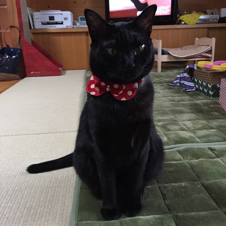 B251fe40 2f17 4fe6 a988 e3e35ee3ca3d