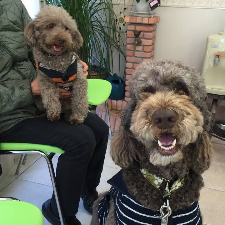 B2522a53 9e33 4c5b 8d89 00bdaf920cb7