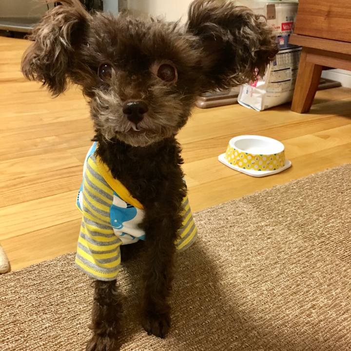 B252d3ae 6c9e 42d2 91ed 529071088c20