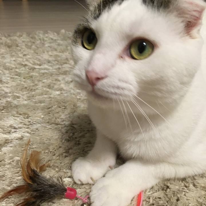 B253385d d903 434c a7e3 31371a0dcd8a