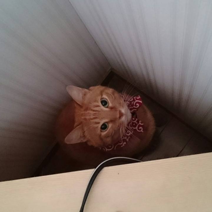 B2534f46 475a 419e a433 5156c9b37333