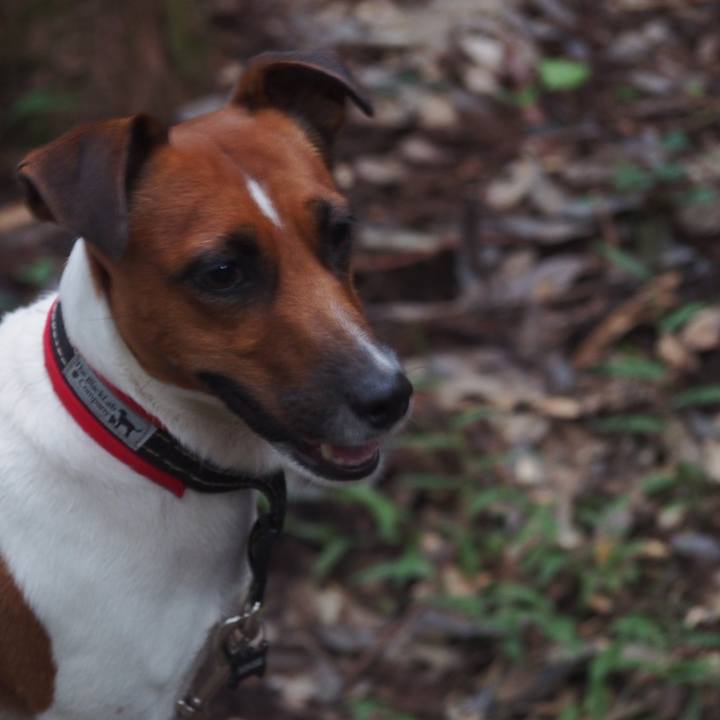 B253f4c8 3f9b 4801 8c09 c5e53e174616