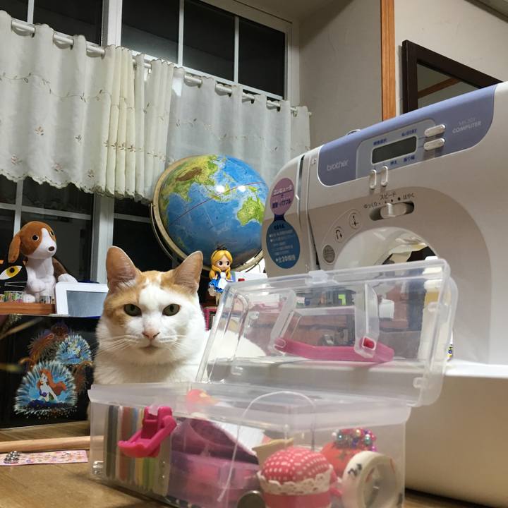 B253fead 48c3 4c0e 8050 910a13f63695