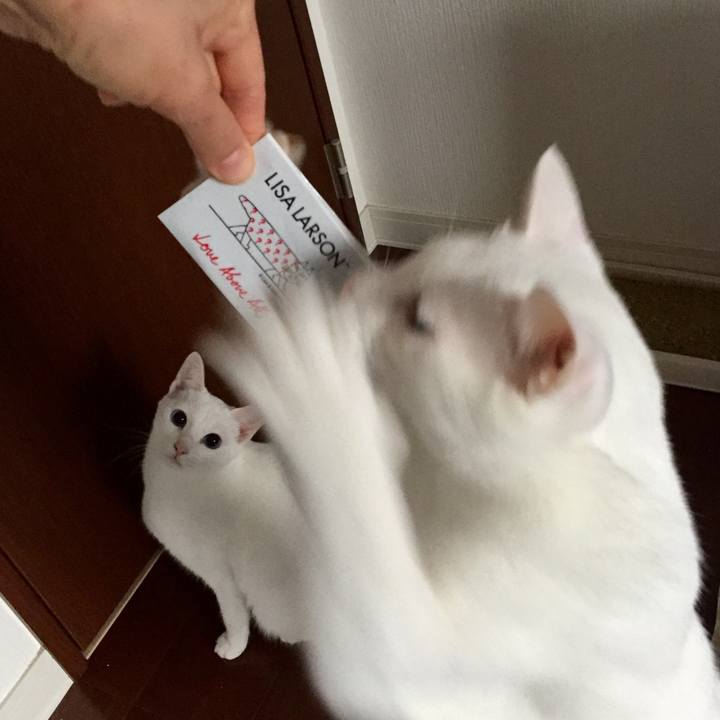 B25419bf d9ac 4e19 adc4 4f3115769721