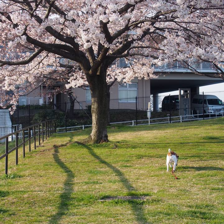 B2542171 a5d2 4a8a 955a a4e2309c11e1