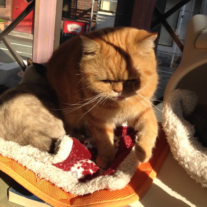 B254a687 0a2d 4f0d 9fcd 86f9365c3b9b