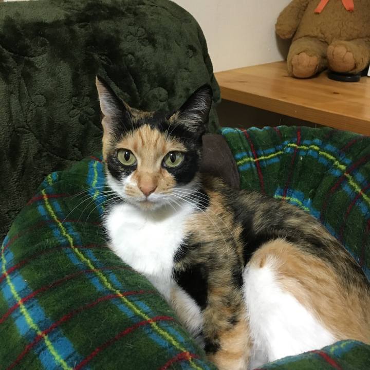 B254c835 9d9a 4214 a5a1 1335f52f7da7