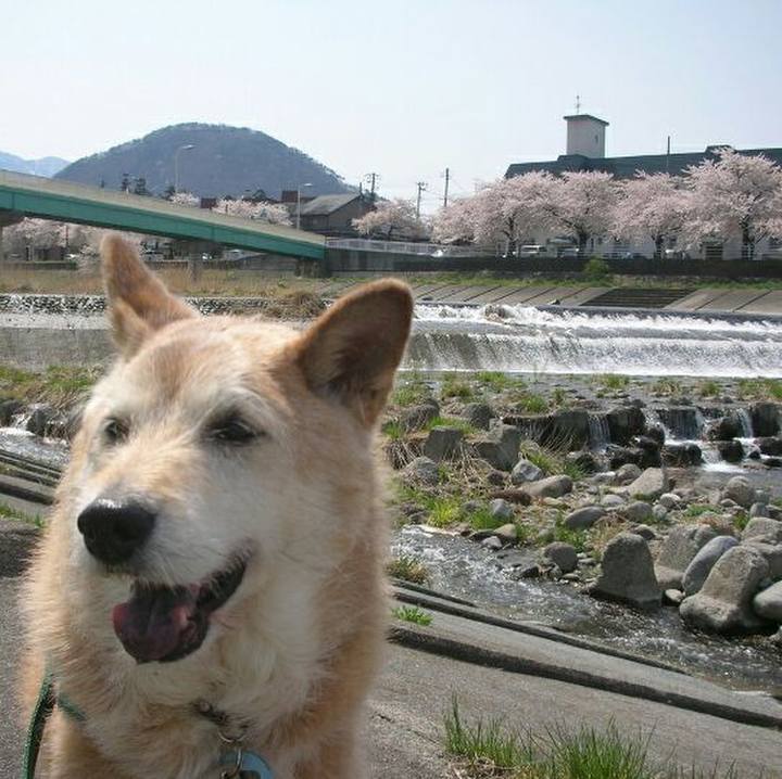 B255929f 2256 496f a82e 2f559fba7e57