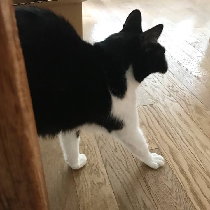 B255bde1 df7d 416f 9b11 1f5dca31efca