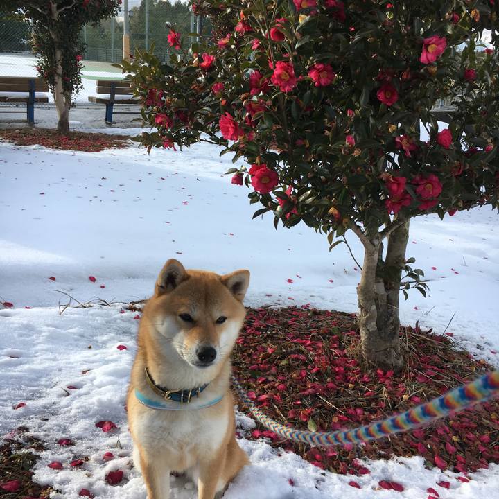 B255caed 1ffd 4f83 971d 192dfcffbcf2