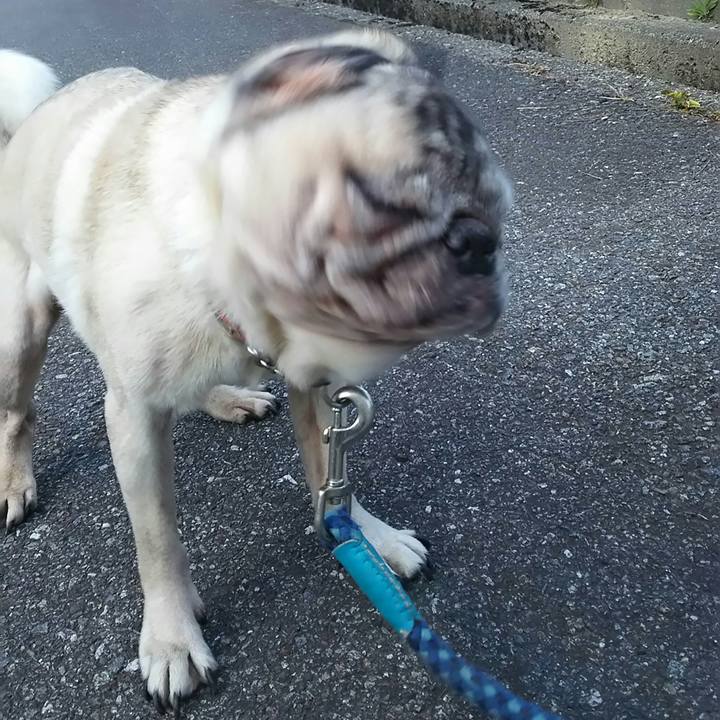 B255ee76 50c7 4bc0 8662 490276a4e915