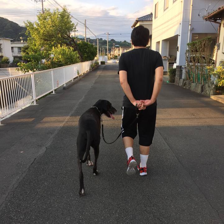 B256a20a fef3 4ad4 8ccc 578cf5ffed45