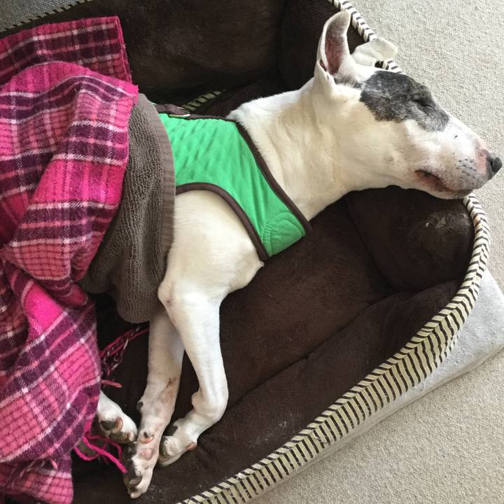 B25705bf 3017 48ad b3a5 45ed9a351077