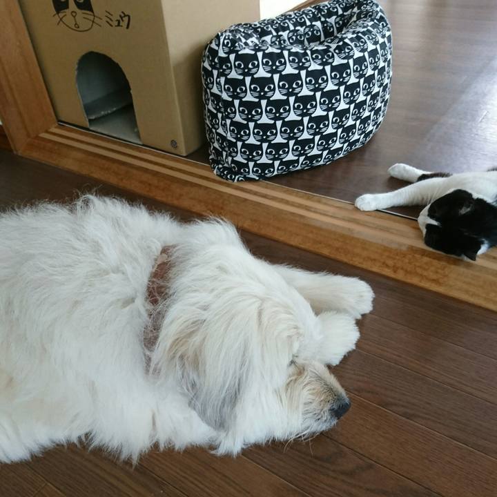 B2573797 4e66 48ea a9ab 2dd602bef2e6