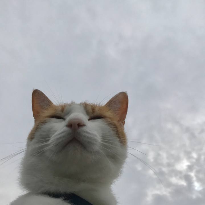 B2576d18 0763 405a b365 b38525b6b22f