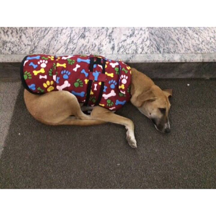 B257805d f279 49b1 9979 8f77ba9234e8