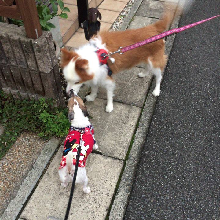 B257a09e ad09 4d9d baff 1432f62f7907