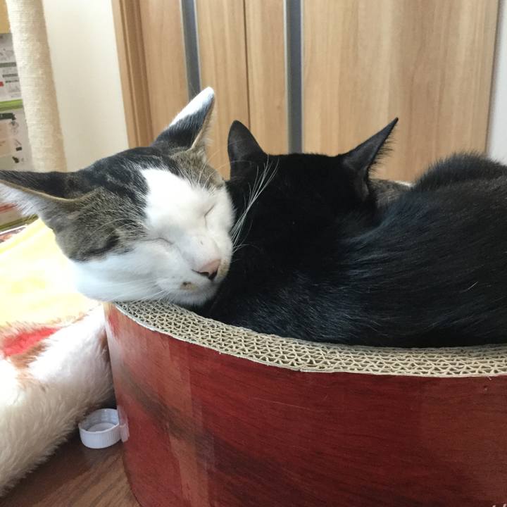 B257ab63 eb7d 4ea8 a1e8 6bacb07cfa61