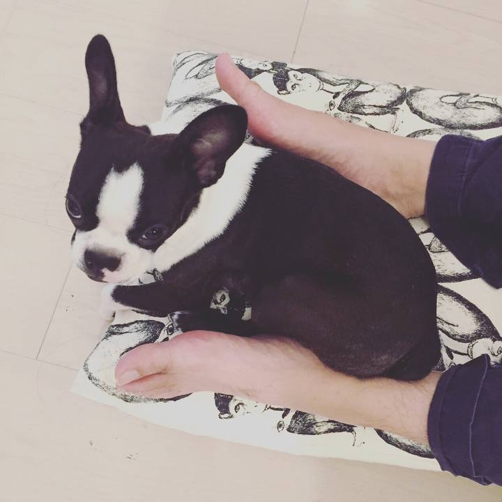 B2580e33 c8b0 47f4 9e12 a9d404c1846b