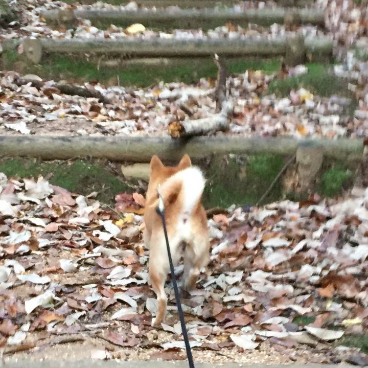 B258c0e0 c7bf 48fe 92a0 065cbb22346c