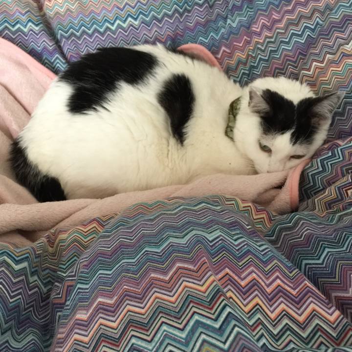 B258e0c5 ef57 403c a25d d1ad5b61015d