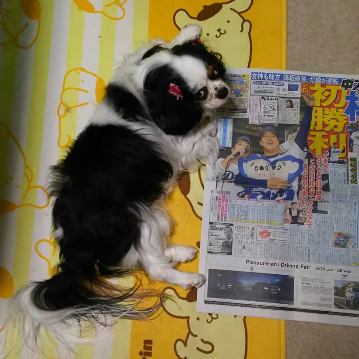 B259162b a127 466e bf71 02ff6f330872