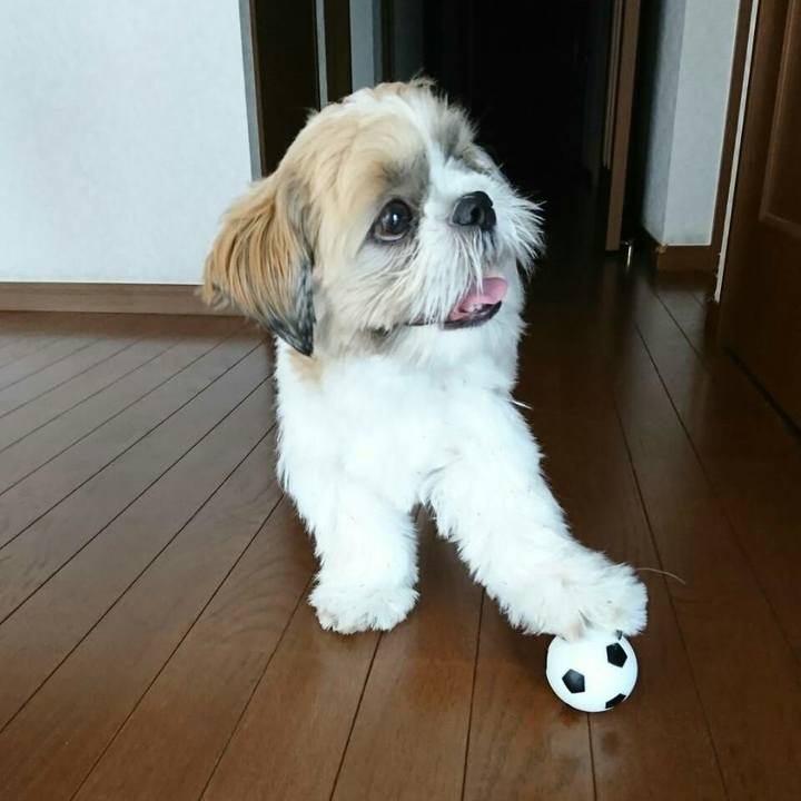 B2593772 ee05 4c99 985f 47ebd0489307