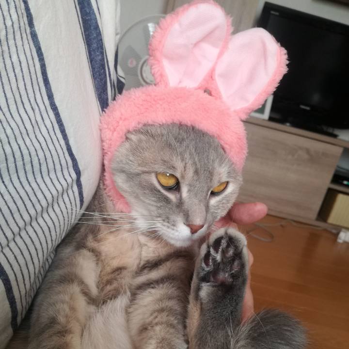 B259493a 7372 4844 b357 321bf6d9af40