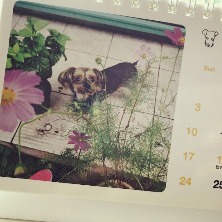 B25978db f4bd 40bd 832a 9d52ea3acf52