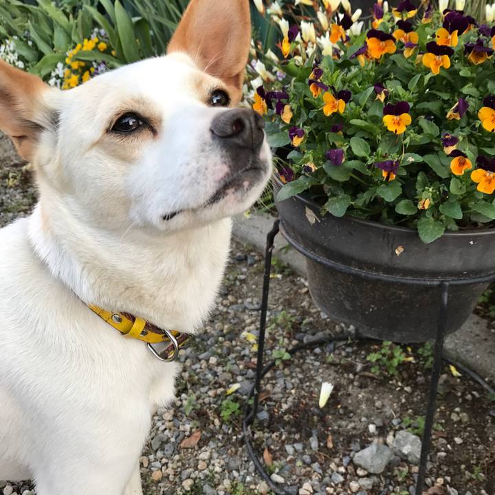 B259f8ca 21e1 42fa b993 d81179f7c431