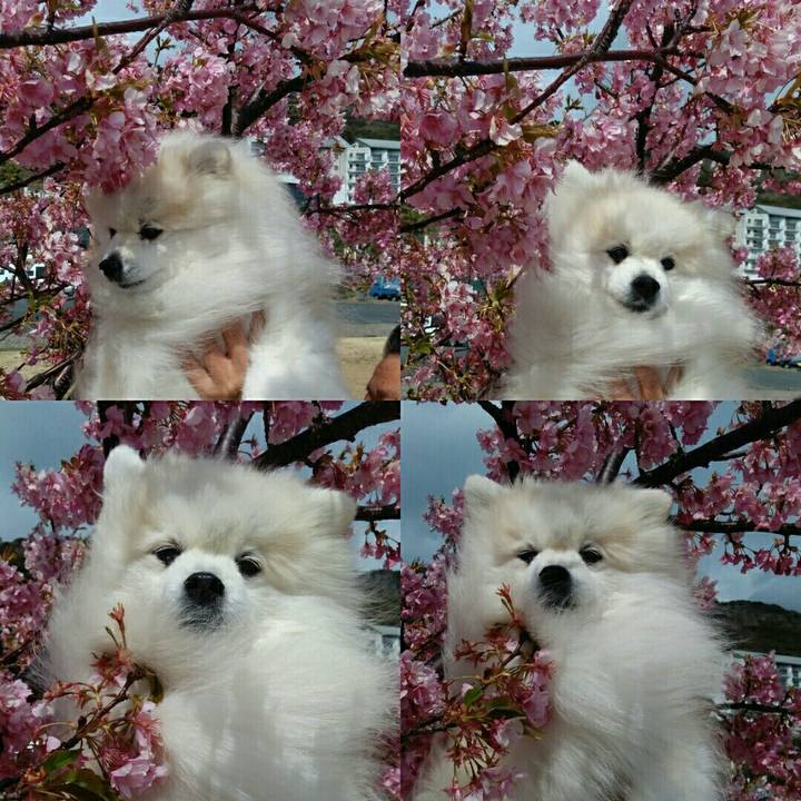 B25a0511 af84 48a7 a064 80f440c22d6c