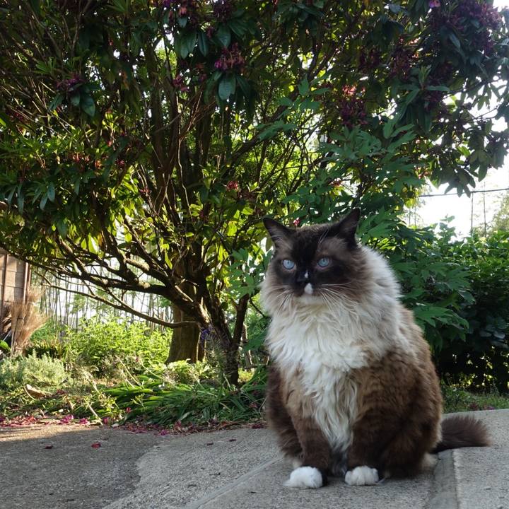 B25a0d83 3e66 4279 bbff 9c6f3d762c48