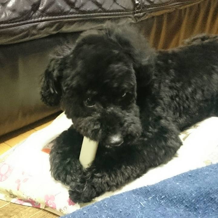 B25a9723 19f5 4e75 9f44 c5117fd2a503