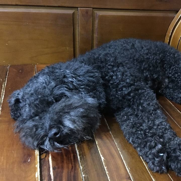 B25ae311 9e5f 42c8 b52d 70d51ffb9c8d