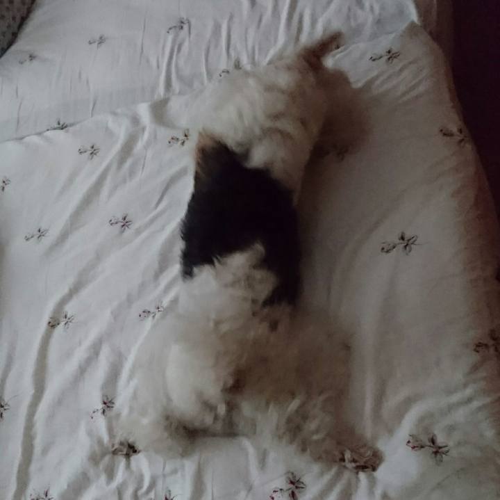 B25b2273 729d 4ed6 a9da e506cace47a7