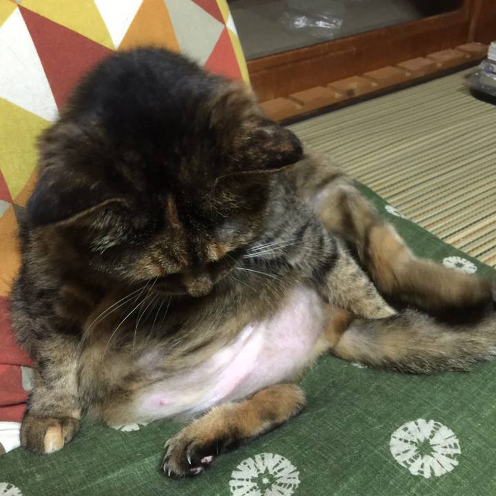 B25bc803 83f6 4650 a0e6 5398deb56158