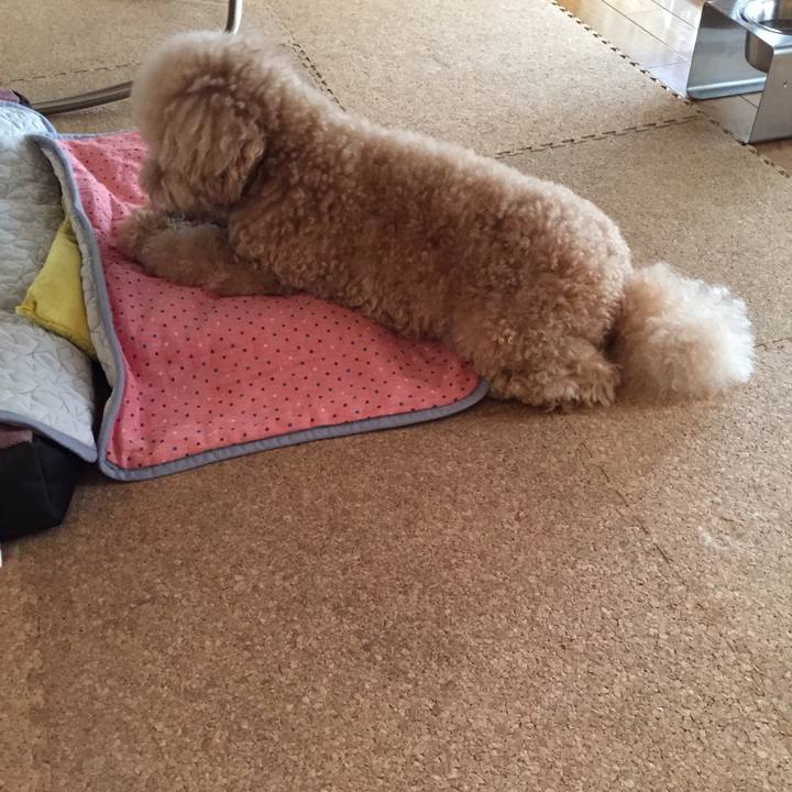 B25be7f6 f844 4fdf 9d7f 8d0b11da5170