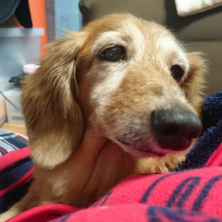 B25c1aef 0535 4d4c 9d90 692ed54116ca