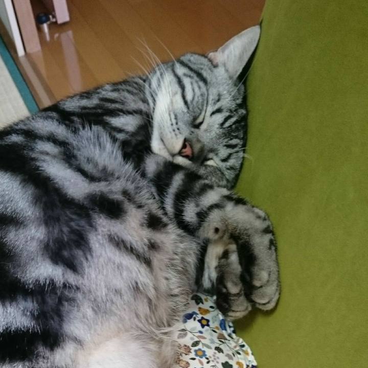 B25c53cf 6ee6 4cf5 a30e 404fbf37e89d