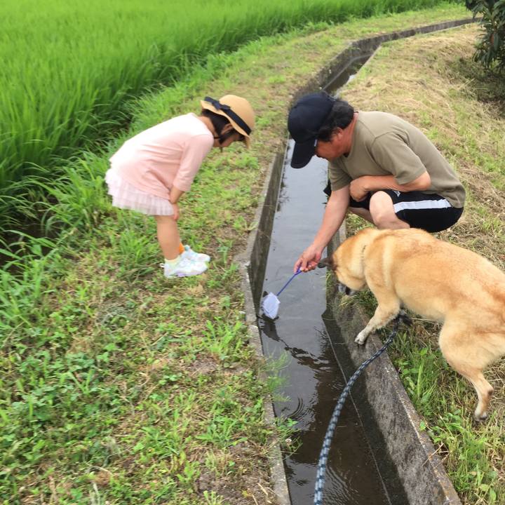 B25d903a cd5a 44f3 ac18 b773a8312731