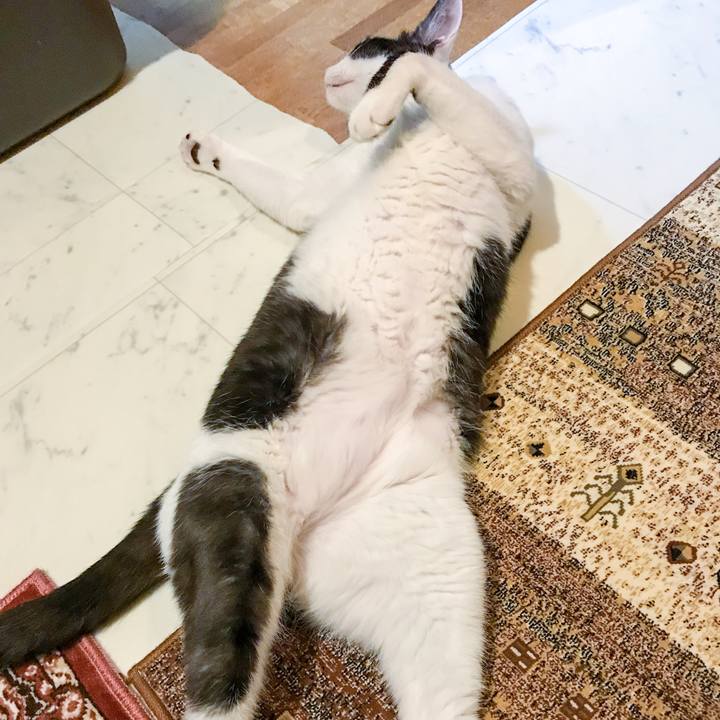 B25d9667 c185 4f3e 9895 6da8ef154fc5