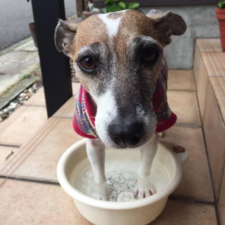 B25e366a a59f 49e3 a92e db6d8a75d59a