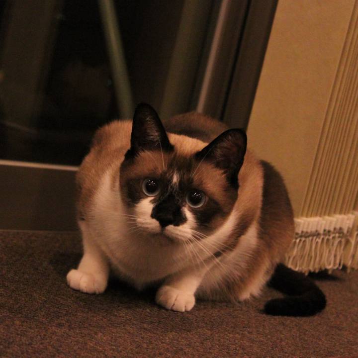 B25e80eb a28f 4be3 bea4 3e26b3dcd468