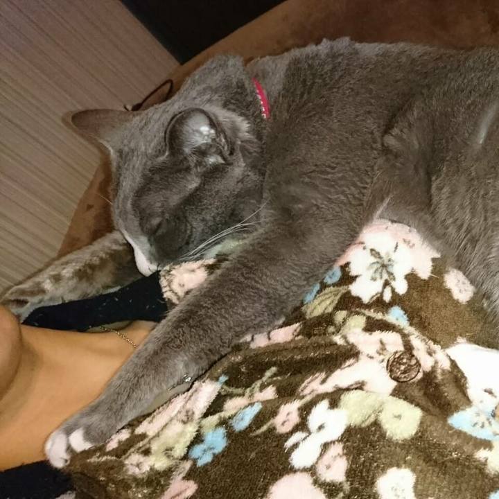 B25eb4a9 70b0 4dcf 89fc 60697045926d