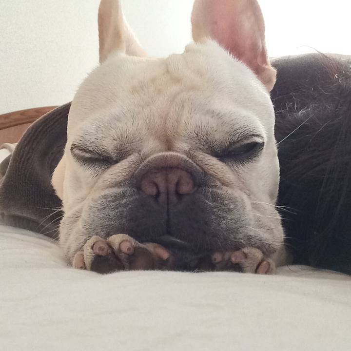 B25ec5ff f1f2 466f 86c8 420c178b7539