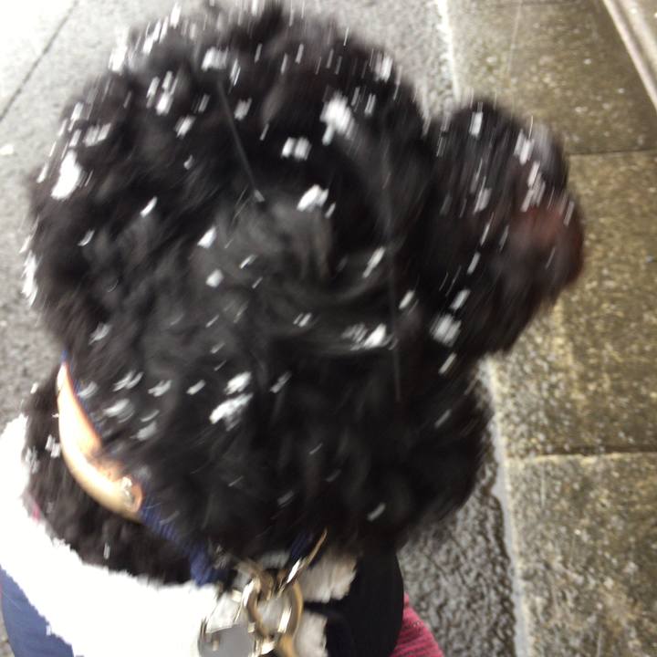 B2601220 78d2 47f9 9693 987b1869726b