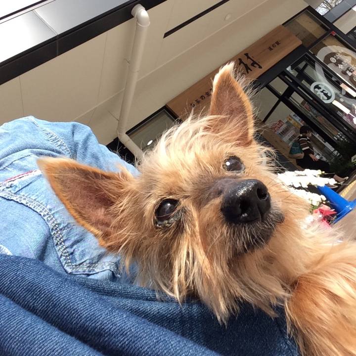 B2601a81 16c6 42aa 8834 dd1689e23a94